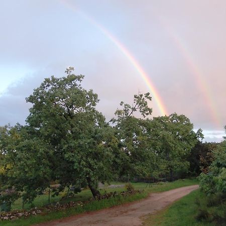 Apartamentos Rurales Ecopangea Valverde de la Vera Zewnętrze zdjęcie