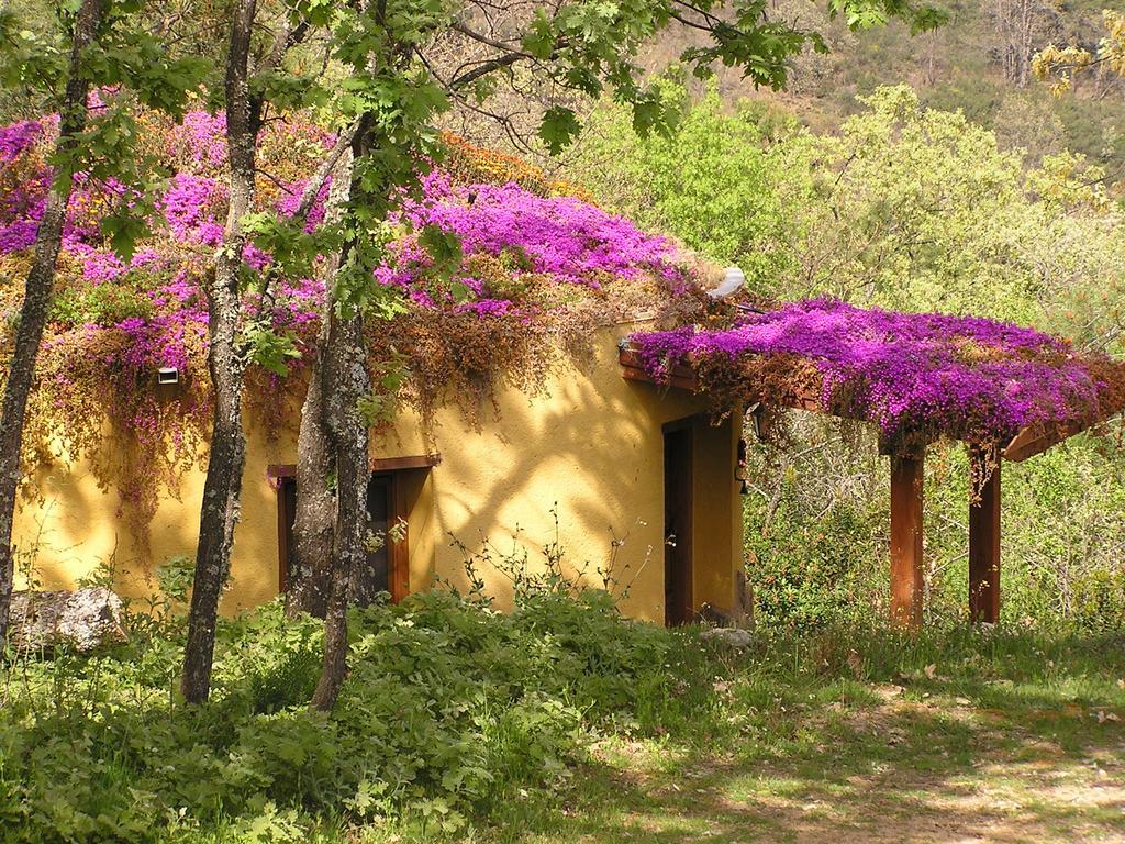 Apartamentos Rurales Ecopangea Valverde de la Vera Pokój zdjęcie