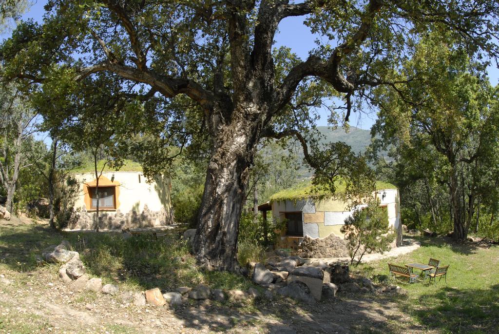 Apartamentos Rurales Ecopangea Valverde de la Vera Zewnętrze zdjęcie