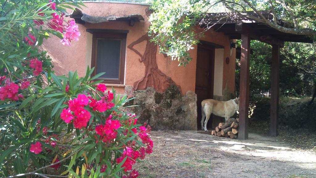 Apartamentos Rurales Ecopangea Valverde de la Vera Zewnętrze zdjęcie