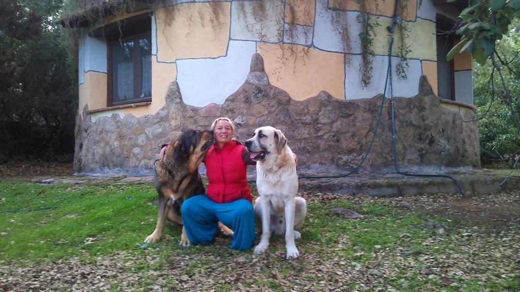 Apartamentos Rurales Ecopangea Valverde de la Vera Zewnętrze zdjęcie