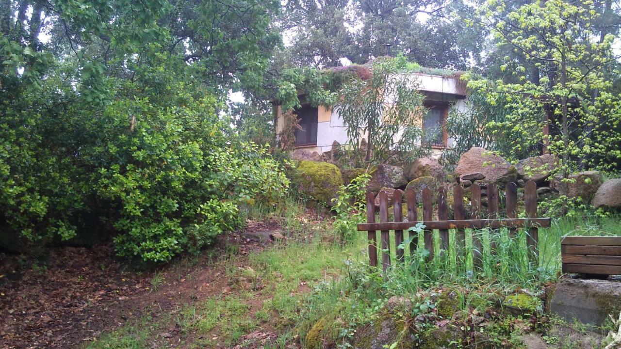 Apartamentos Rurales Ecopangea Valverde de la Vera Zewnętrze zdjęcie