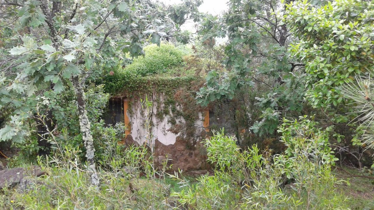 Apartamentos Rurales Ecopangea Valverde de la Vera Zewnętrze zdjęcie