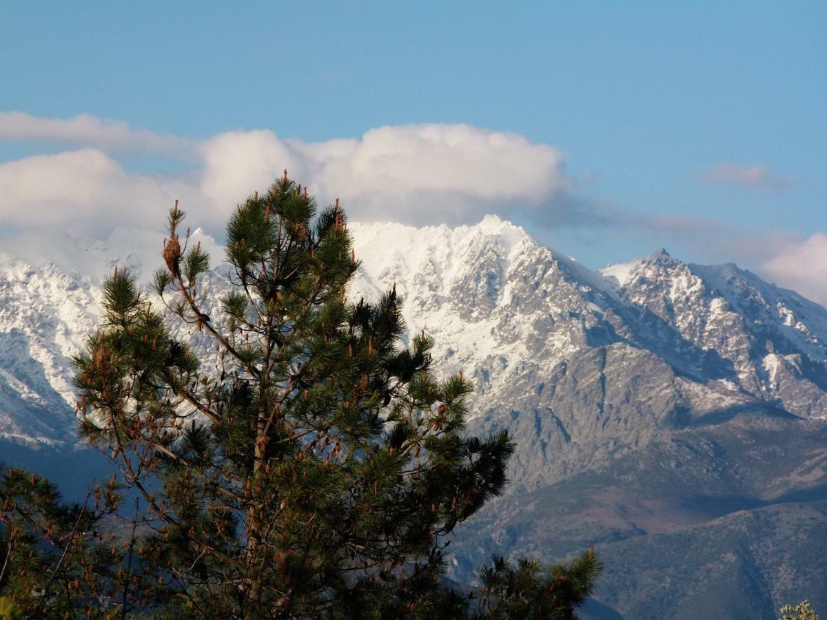 Apartamentos Rurales Ecopangea Valverde de la Vera Zewnętrze zdjęcie