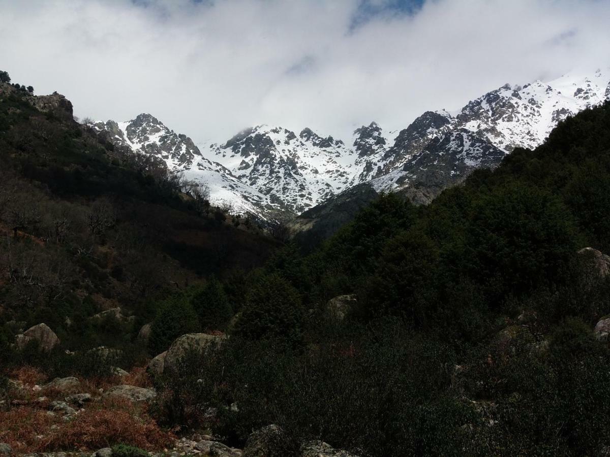Apartamentos Rurales Ecopangea Valverde de la Vera Zewnętrze zdjęcie