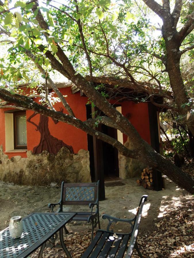 Apartamentos Rurales Ecopangea Valverde de la Vera Zewnętrze zdjęcie
