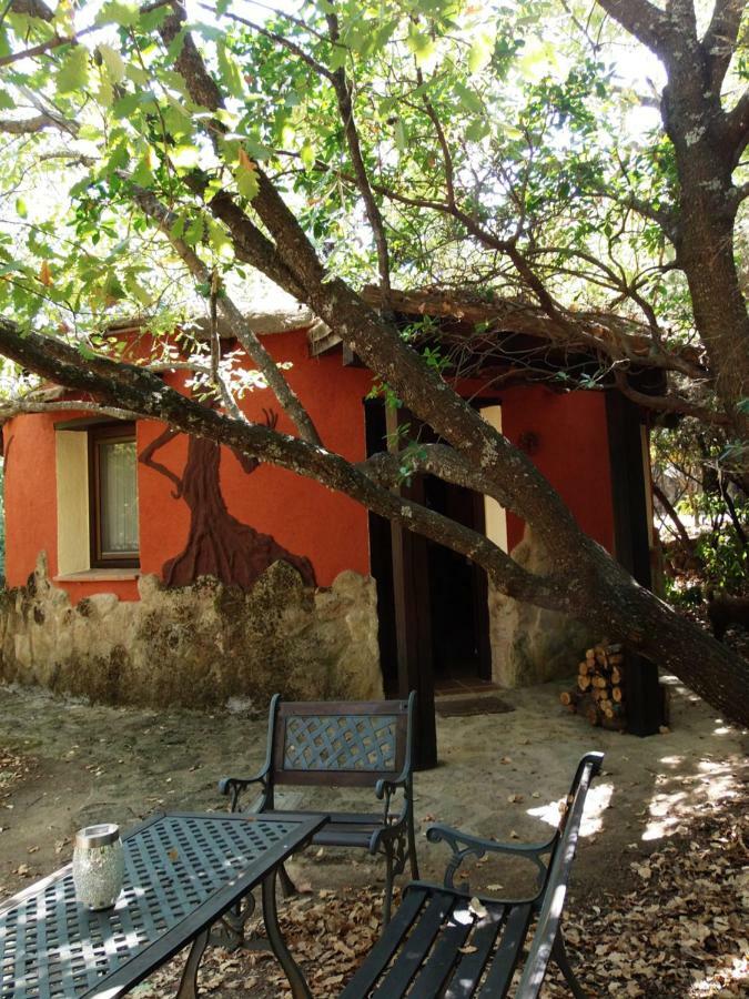 Apartamentos Rurales Ecopangea Valverde de la Vera Zewnętrze zdjęcie