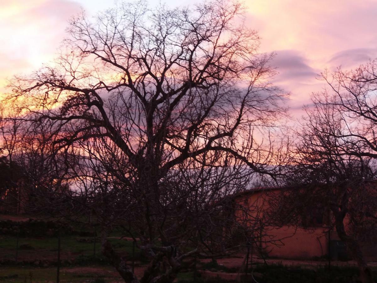 Apartamentos Rurales Ecopangea Valverde de la Vera Zewnętrze zdjęcie